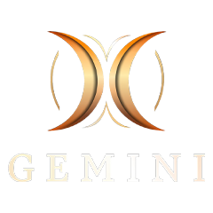 GEMIMI